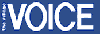 Voice Logo